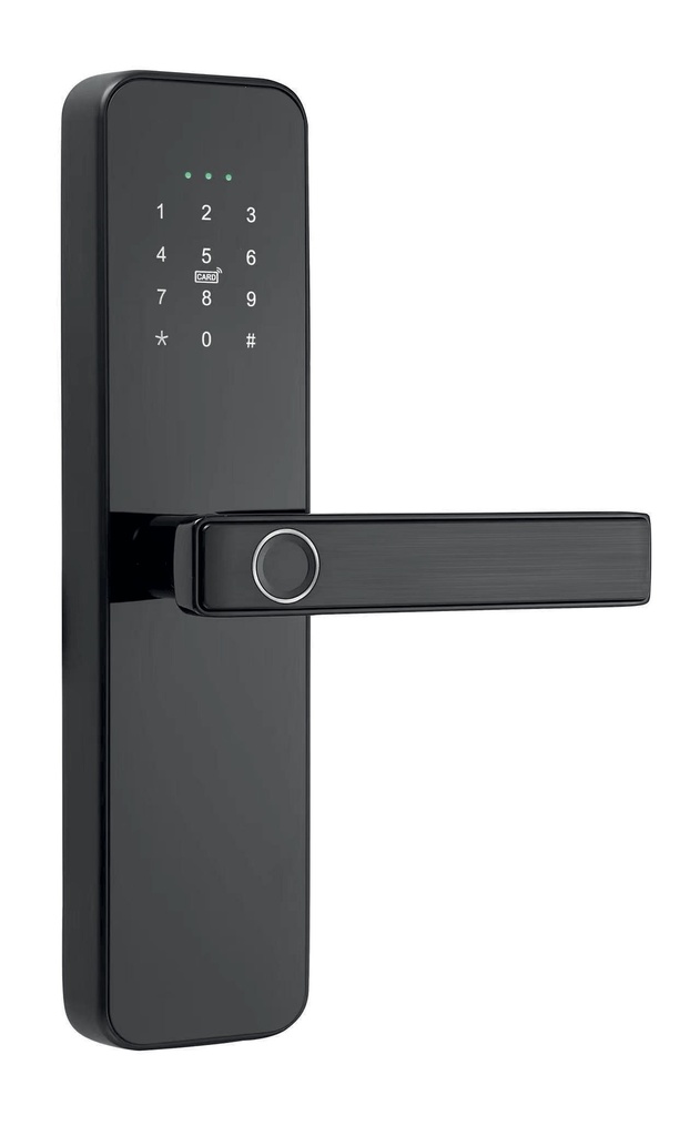 Cerradura Intelig. Tarjeta/Huella/Clave/Llave 260X63Mm Negro