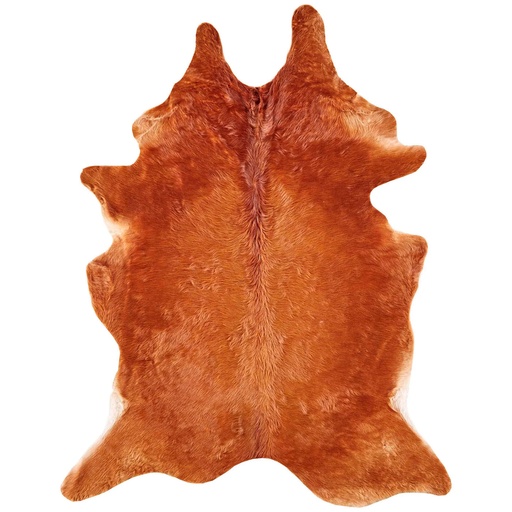 [155048 | 76339] Alfombra Small Color Medium Cafe Bartlett